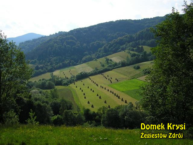 Żegiestów w górach Beskidu Sądeckiego w Dolinie Popradu. Okolica słynie z łatwych i atrakcyjnych szlaków górskich.